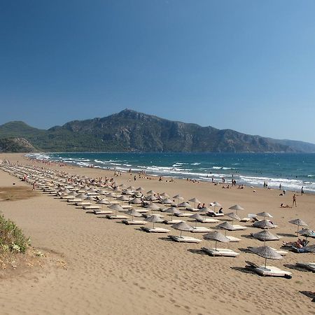Casa Pallet Hotel (Adults Only) Дальян Экстерьер фото